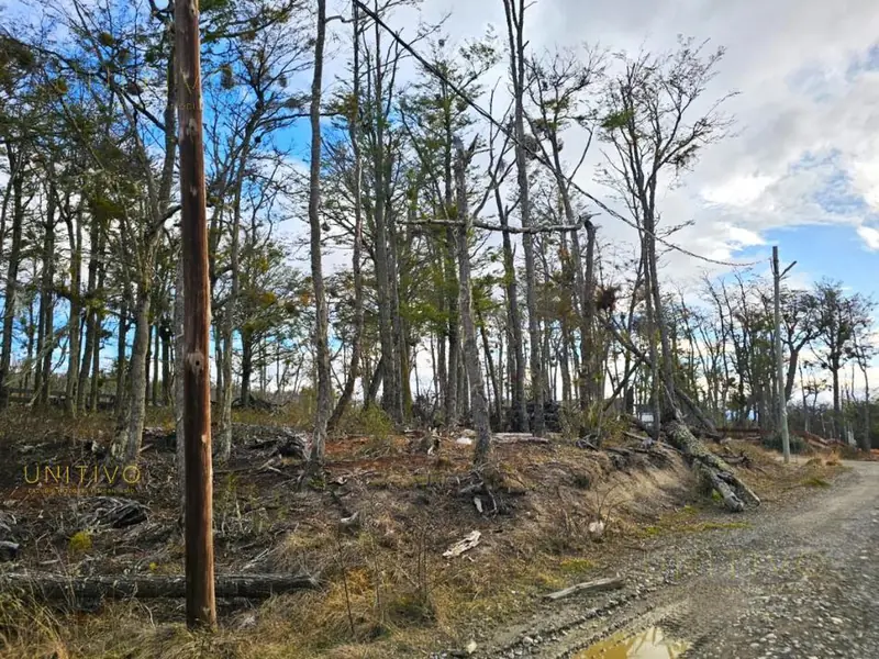 Terreno en Venta en Lago Fagnano - TERRENO EN VENTA - ECOPUEBLO, TOLHUIN.